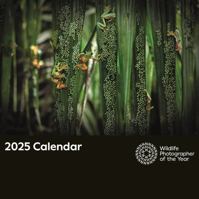 Wildlife Photographer of the Year Square Wall Calendar 2025 (ISBN: 5020211305676)