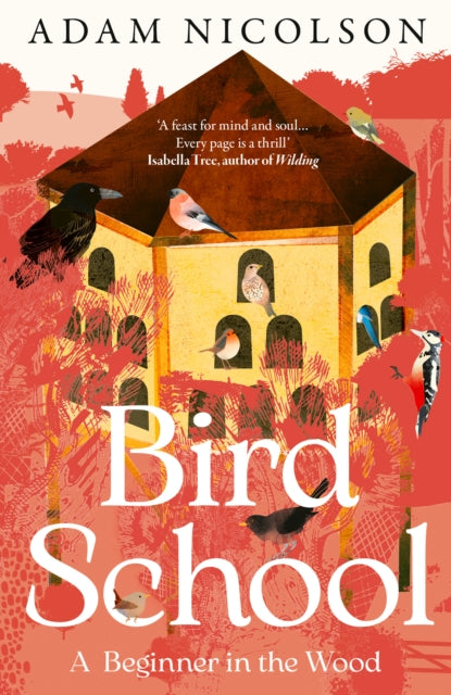 Bird School : A Beginner in the Wood (ISBN: 9780008490874)