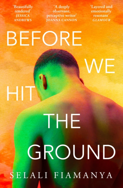 Before We Hit the Ground (ISBN: 9780008509606)