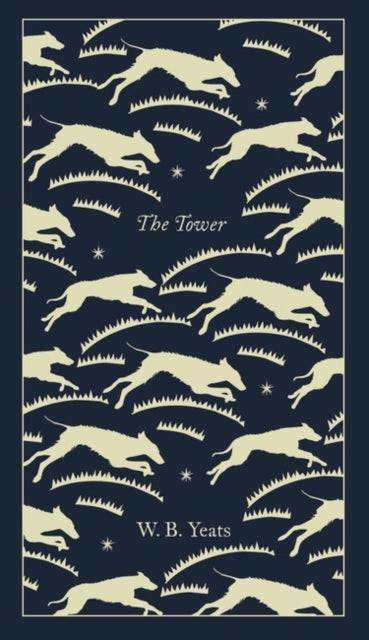 The Tower (ISBN: 9780241303092)