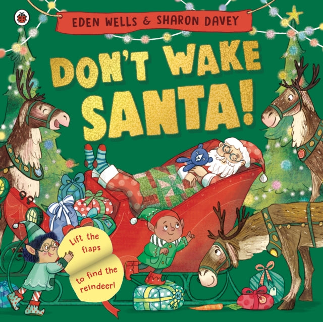 Don't Wake Santa : A lift-the-flap Christmas book (ISBN: 9780241630501)