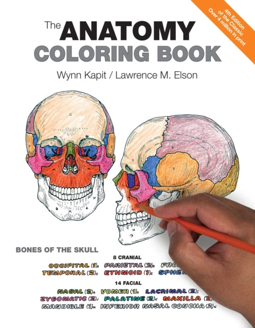 Anatomy Coloring Book, The (ISBN: 9780321832016)