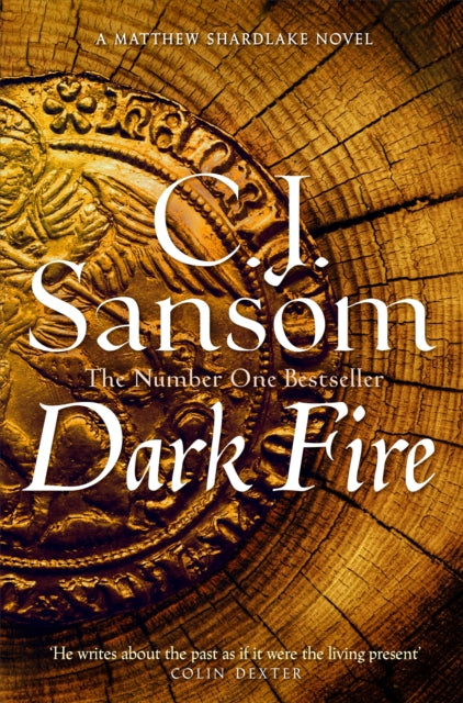 Dark Fire (ISBN: 9781035012305)
