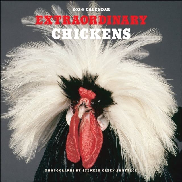 Extraordinary Chickens 2026 Wall Calendar (ISBN: 9781419782459)