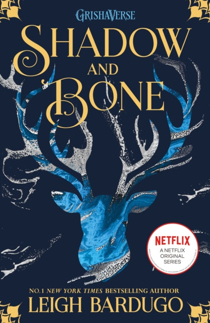 Shadow and Bone: Shadow and Bone : Book 1 (ISBN: 9781510105249)