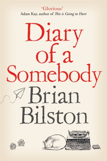 Diary of a Somebody (ISBN: 9781529005561)
