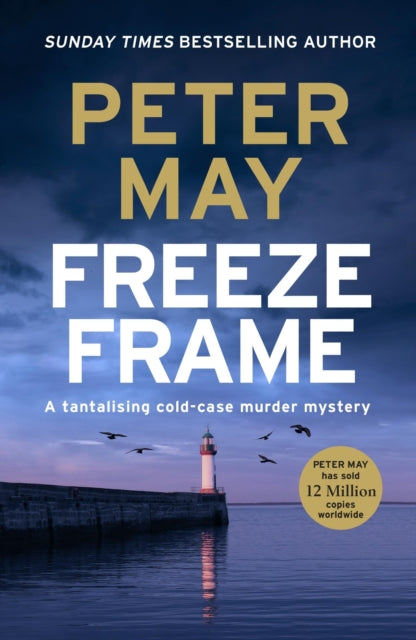 Freeze Frame : An engrossing instalment in the cold-case Enzo series (The Enzo Files Book 4) (ISBN: 9781529434750)