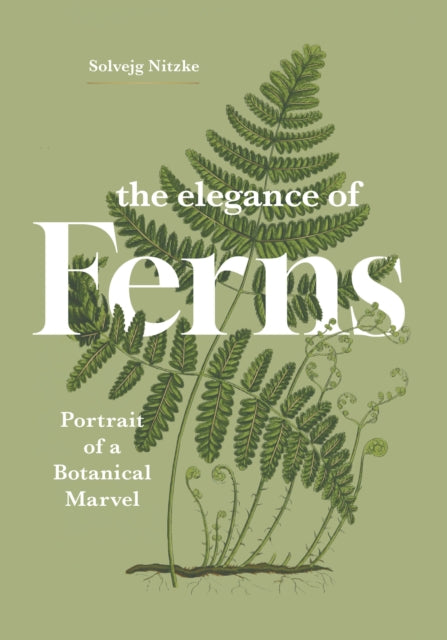 The Elegance of Ferns : Portrait of a Botanical Marvel (ISBN: 9781778403385)