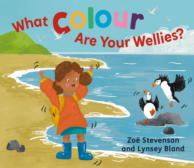 What Colour Are Your Wellies? (ISBN: 9781780278742)