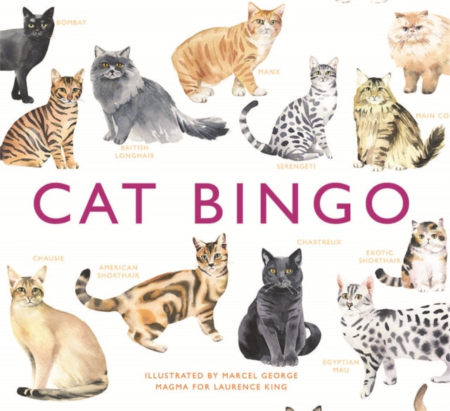 Cat Bingo (ISBN: 9781780679037)