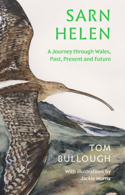 Sarn Helen : A Journey Through Wales, Past, Present and Future (ISBN: 9781783788095)