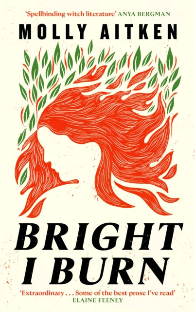 Bright I Burn (ISBN: 9781786898388)