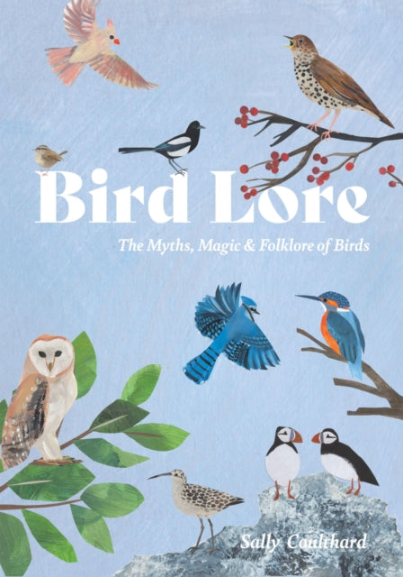 Bird Lore : The Myths, Folklore and Meaning of Birds (ISBN: 9781837833061)
