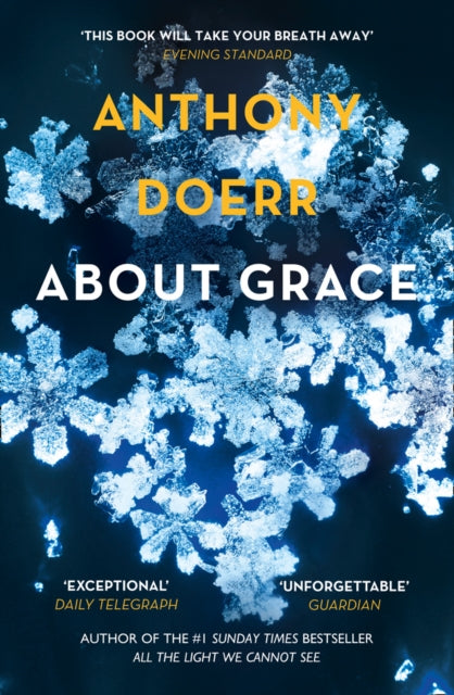 About Grace (ISBN: 9780007146994)