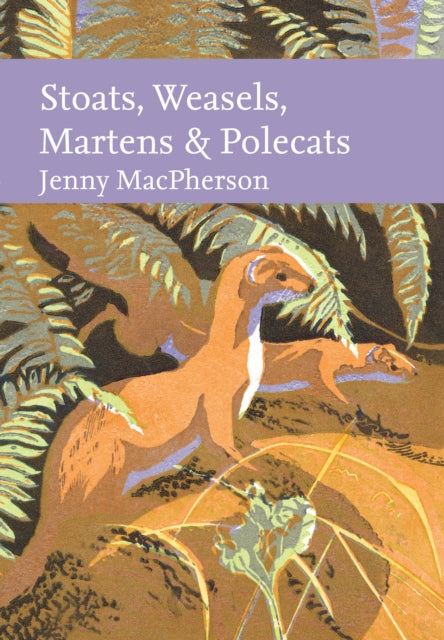 Stoats, Weasels, Martens and Polecats (ISBN: 9780008334932)
