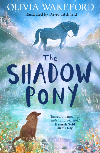 The Shadow Pony (ISBN: 9780008658618)