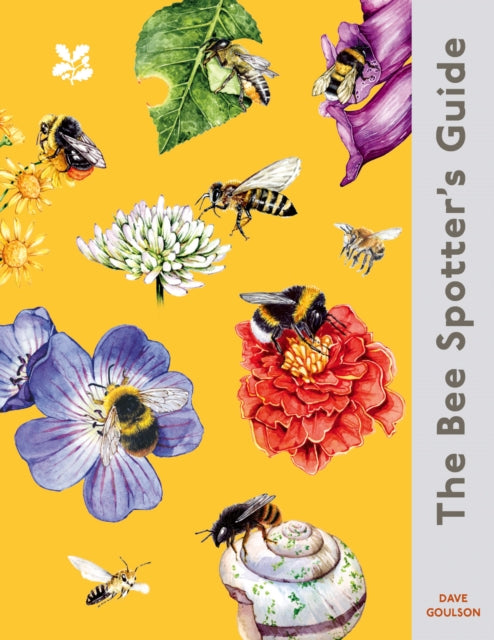 The Bee Spotter’s Guide (ISBN: 9780008781316)