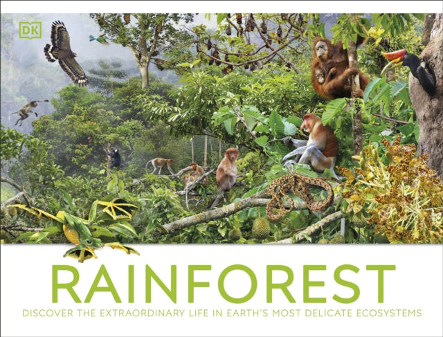 Rainforest (ISBN: 9780241716427)