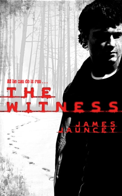 The Witness (ISBN: 9780330447133)