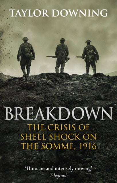 Breakdown : The Crisis of Shell Shock on the Somme (ISBN: 9780349141015)