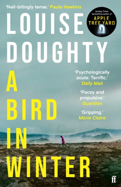 A Bird in Winter : 'Nail-bitingly tense and compelling' Paula Hawkins (ISBN: 9780571322190)
