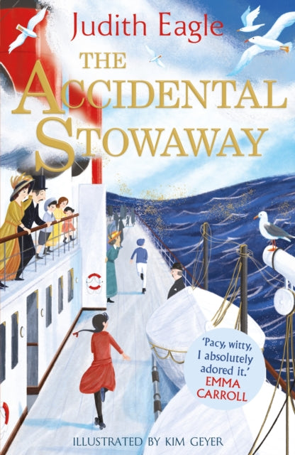 The Accidental Stowaway : 'A rollicking, salty, breath of fresh air.'  Hilary McKay (ISBN: 9780571363124)