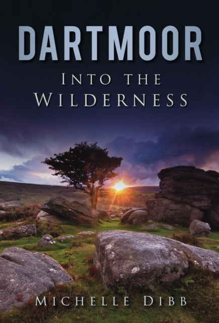 Dartmoor: Into the Wilderness (ISBN: 9780752459295)