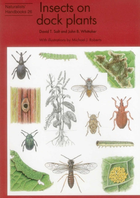 Insects on dock plants (ISBN: 9780855463090)