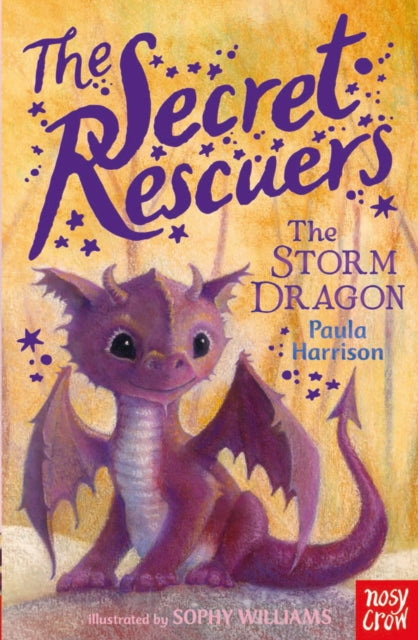The Secret Rescuers: The Storm Dragon (ISBN: 9780857634771)