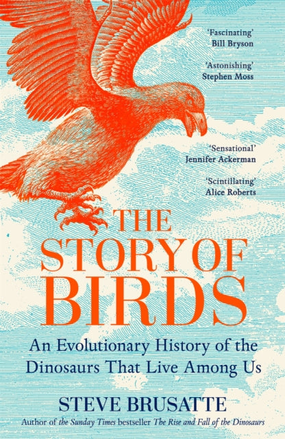 The Story of Birds : An Evolutionary History of the Dinosaurs That Live Among Us (ISBN: 9781035032518)