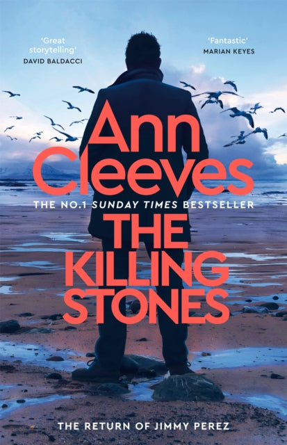 The Killing Stones (ISBN: 9781035043095)