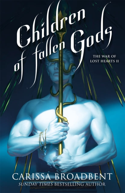 Children of Fallen Gods (ISBN: 9781035070862)