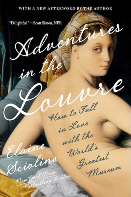 Adventures in the Louvre : How to Fall in Love with the World's Greatest Museum (ISBN: 9781324123439)
