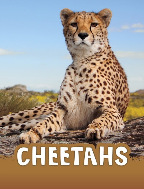Cheetahs (ISBN: 9781398202429)