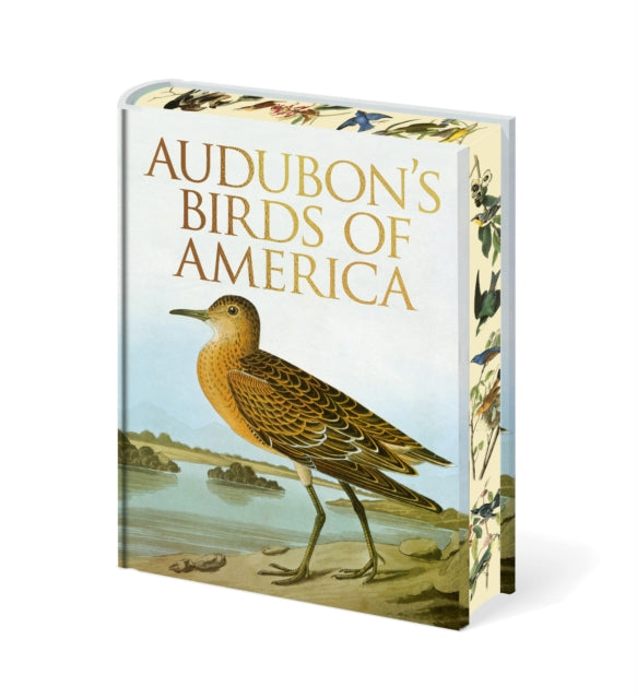 Audubon's Birds of America (ISBN: 9781398850866)