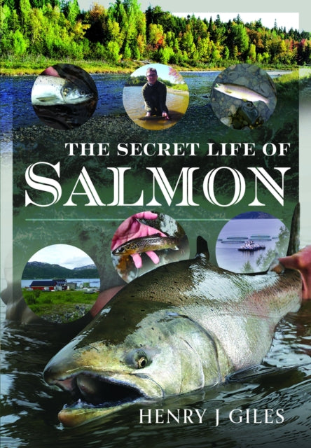 The Secret Life of Salmon (ISBN: 9781399011969)