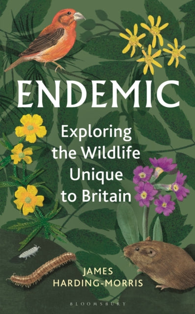 Endemic : Exploring the wildlife unique to Britain (ISBN: 9781399405676)