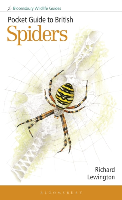 Pocket Guide to British Spiders (ISBN: 9781399406987)