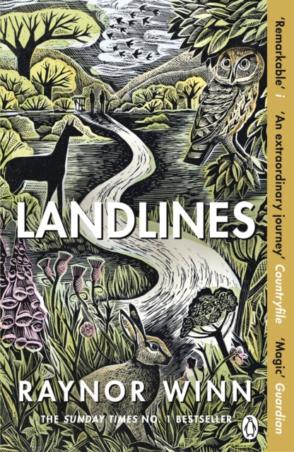 Landlines (ISBN: 9781405947787)