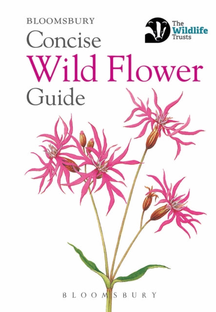 Concise Wild Flower Guide (ISBN: 9781472963802)