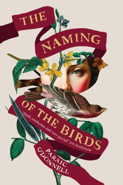 The Naming of the Birds (ISBN: 9781474614863)