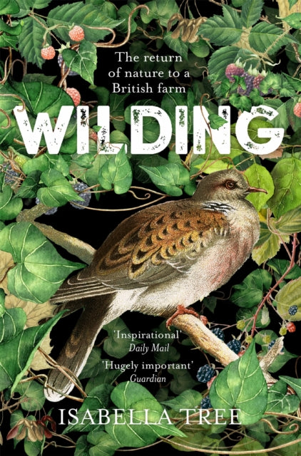 Wilding : The Return of Nature to a British Farm (ISBN: 9781509805105)