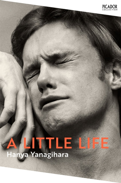 A Little Life : The Million-Copy Bestseller (ISBN: 9781529077216)