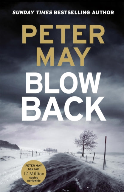 Blowback : The exciting penultimate case in the addictive crime series (The Enzo Files Book 5) (ISBN: 9781529434767)