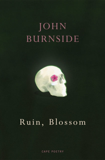 Ruin, Blossom (ISBN: 9781529909258)