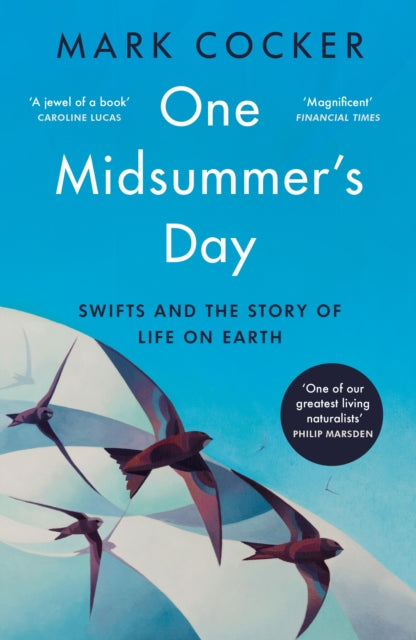 One Midsummer's Day : Swifts and the Story of Life on Earth (ISBN: 9781529921991)