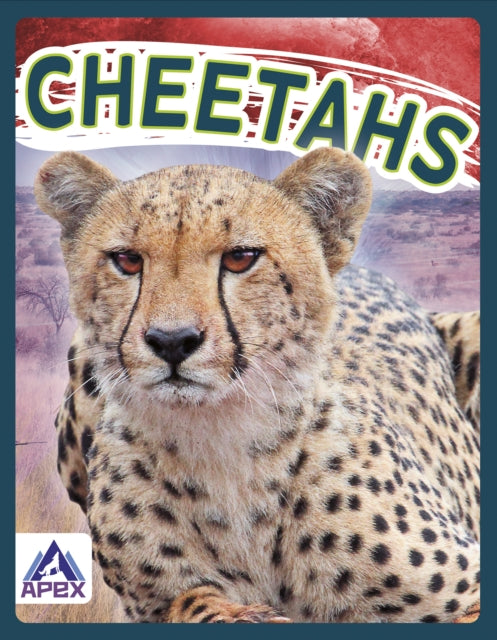 Cheetahs (ISBN: 9781637380642)