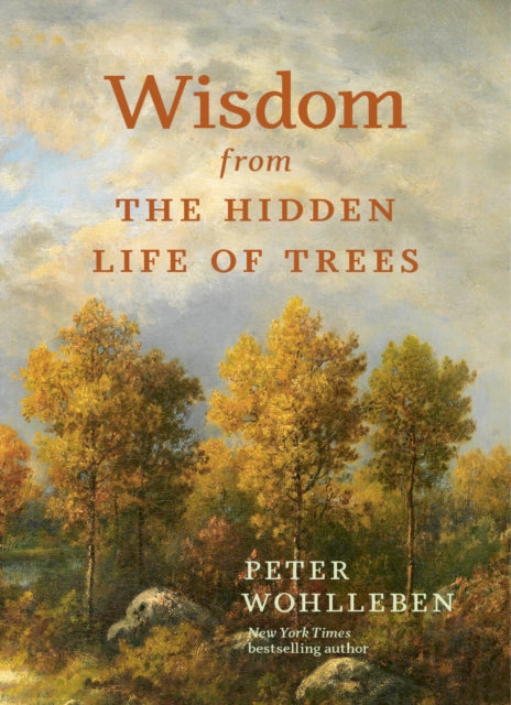 Wisdom from the Hidden Life of Trees (ISBN: 9781778401404)