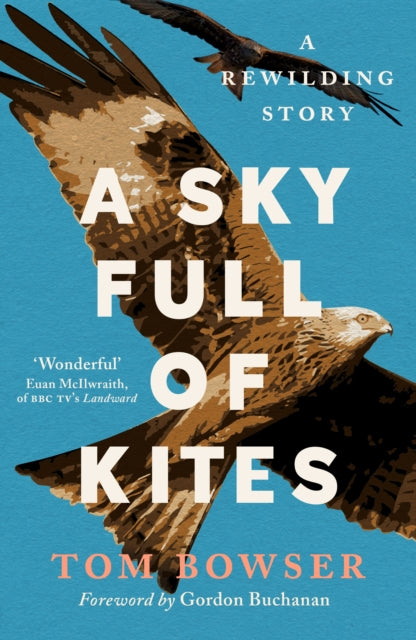 A Sky Full of Kites : A Rewilding Story (ISBN: 9781780277769)