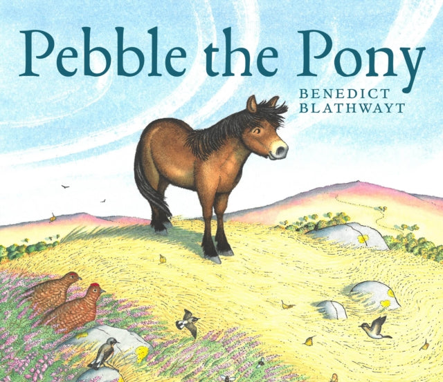 Pebble the Pony (ISBN: 9781780278865)